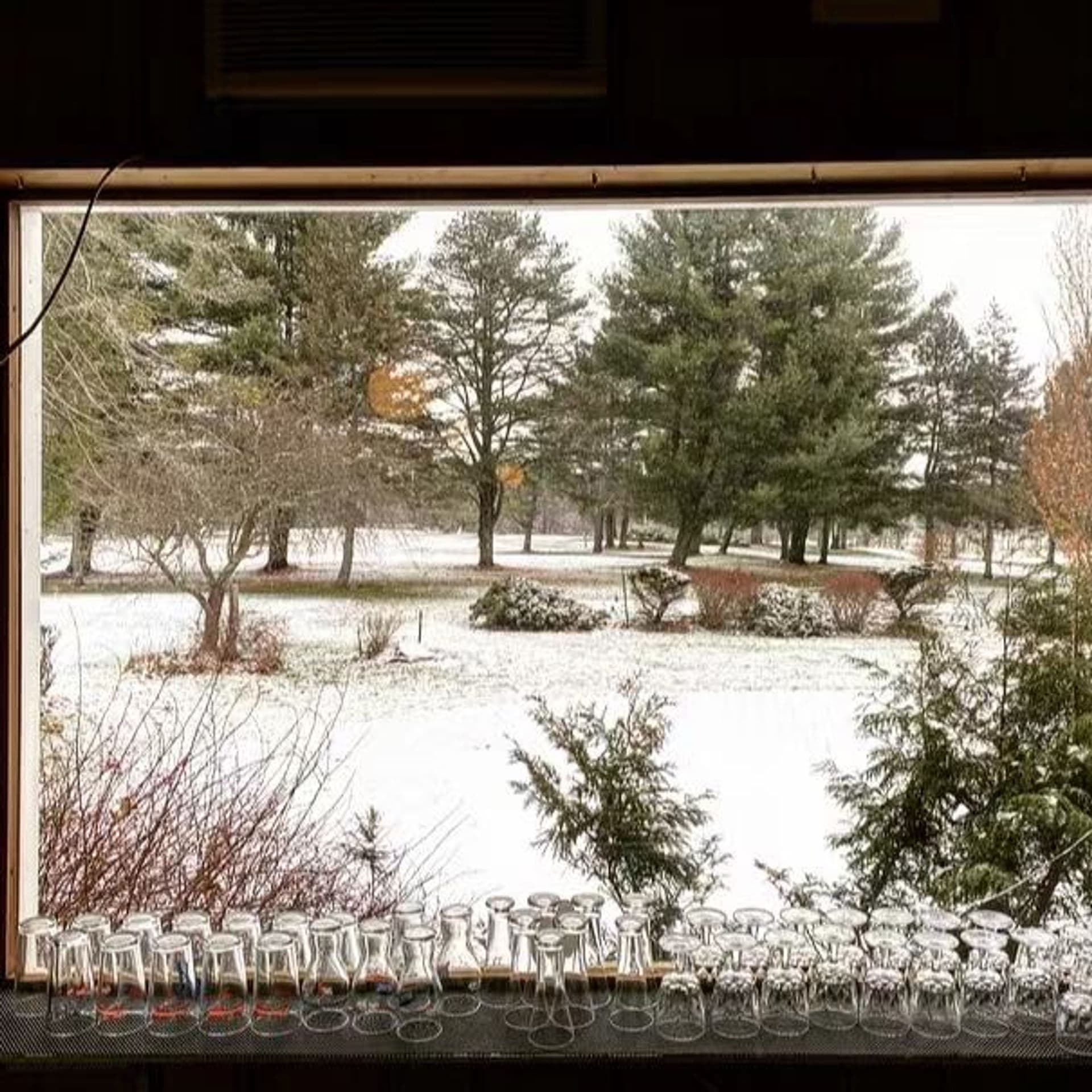 Golfer enjoying a round at Island Green Resort