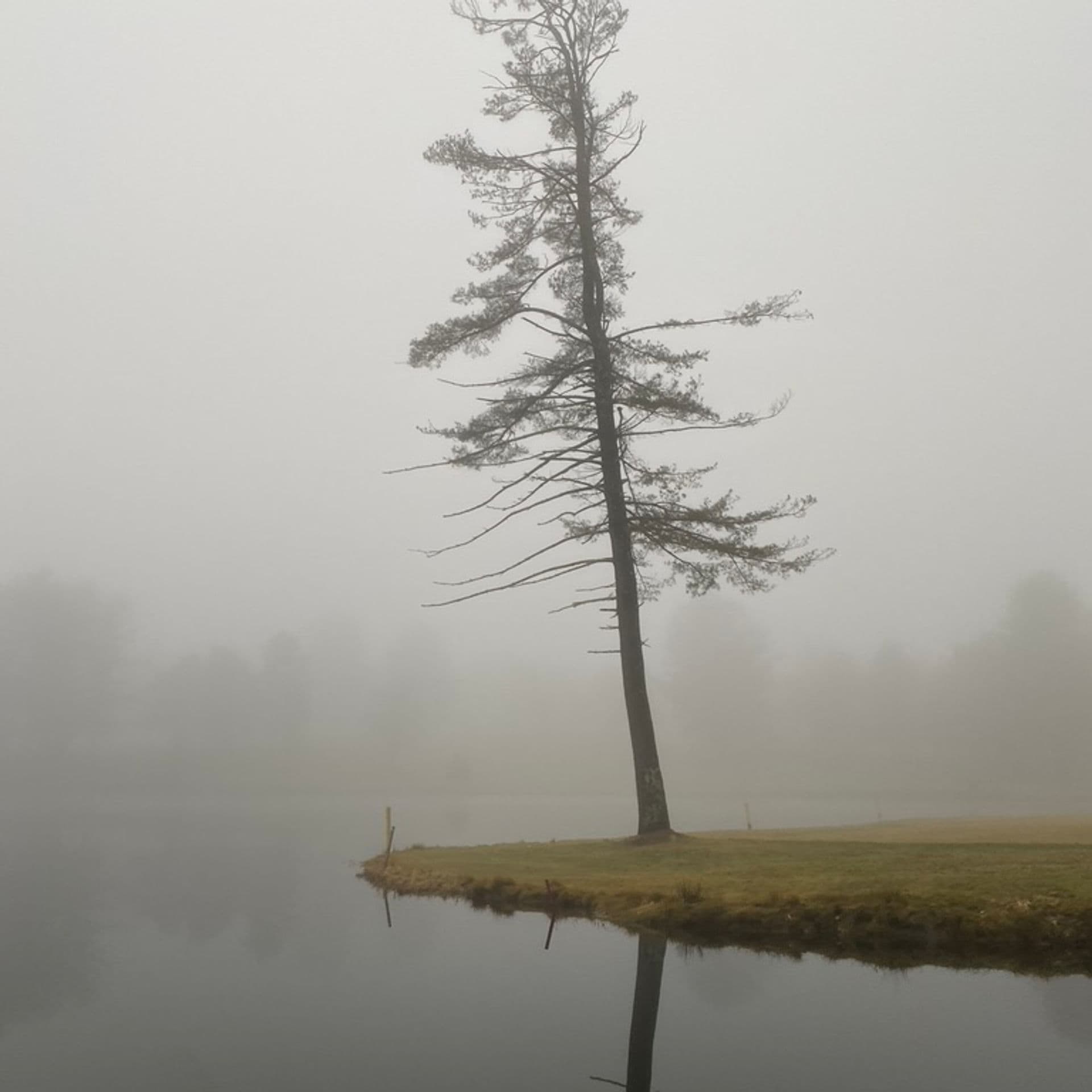 Golf cart path through autumn foliage at Island Green