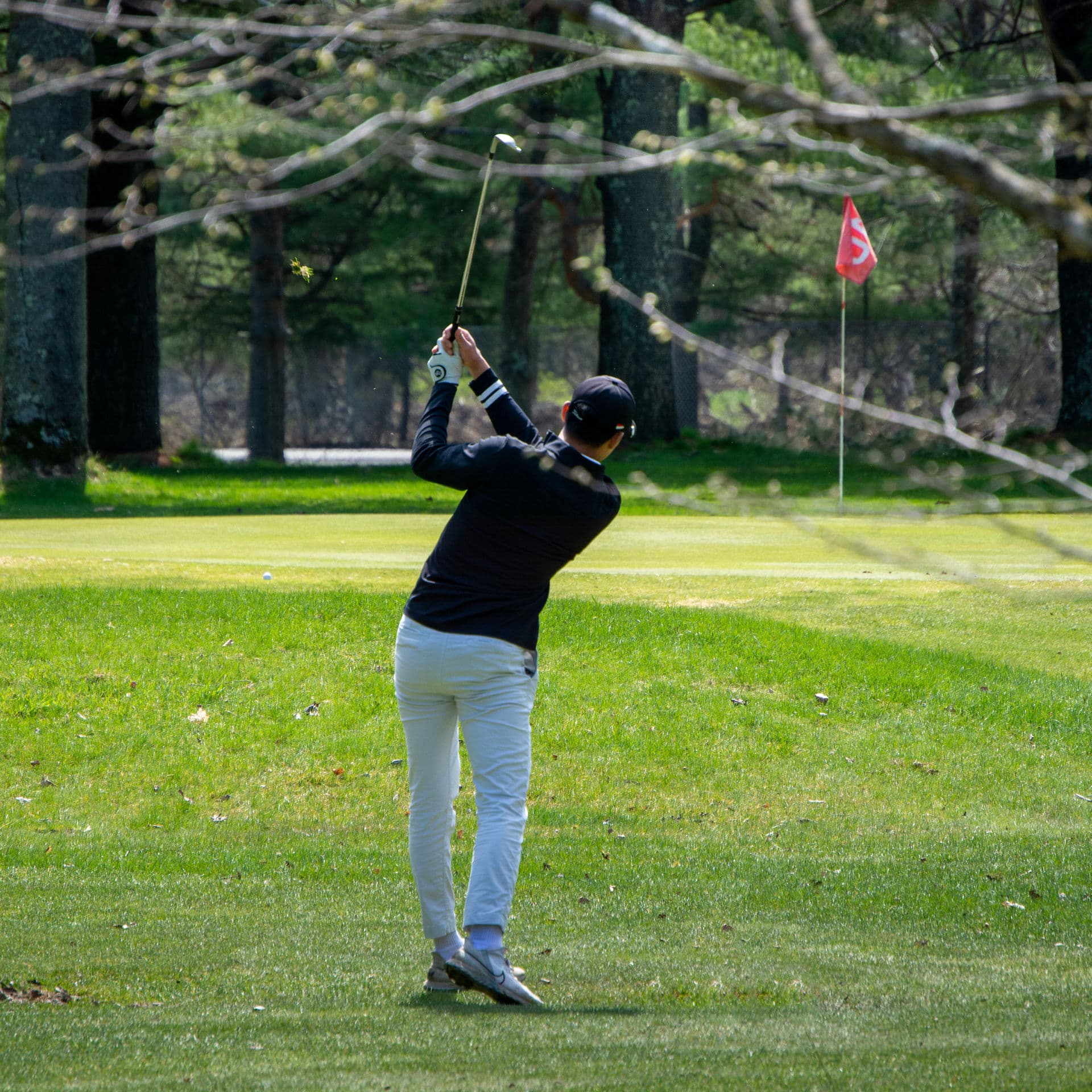 Island Green Lodge comfortable accommodations